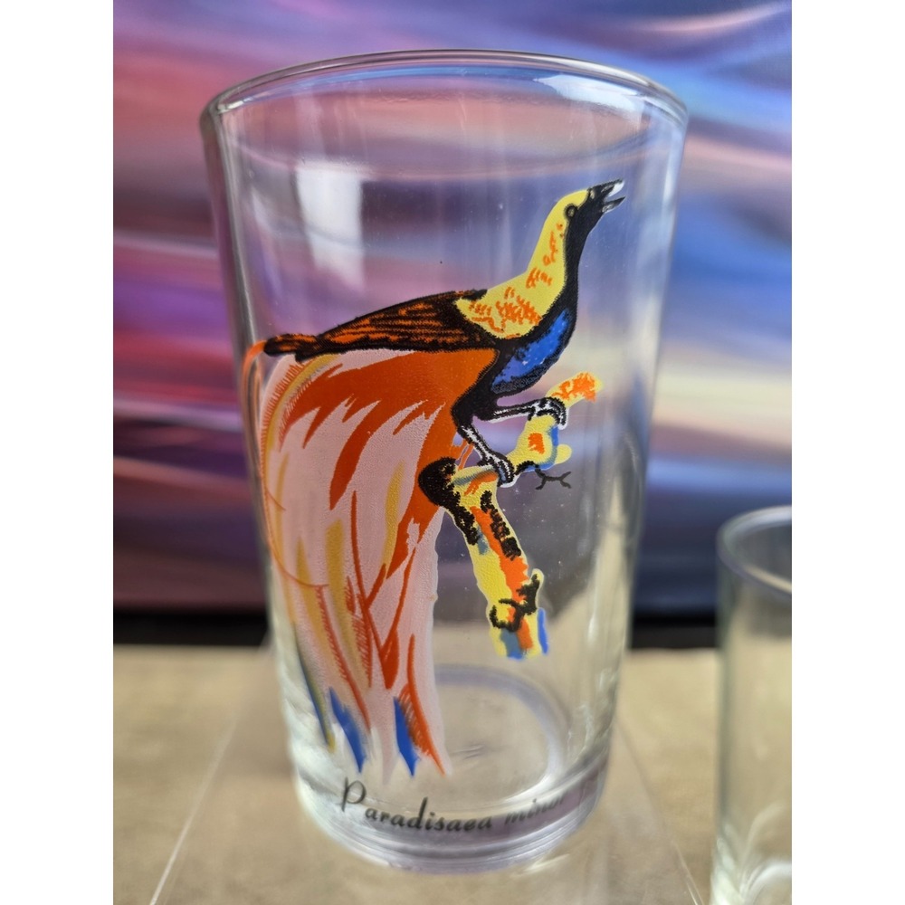 Set of 4 Juice Glasses, Tumblers, Exotic Tropical Birds, Vintage, 1960's - Picture 2 of 5